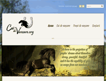Tablet Screenshot of caidevanzare.org